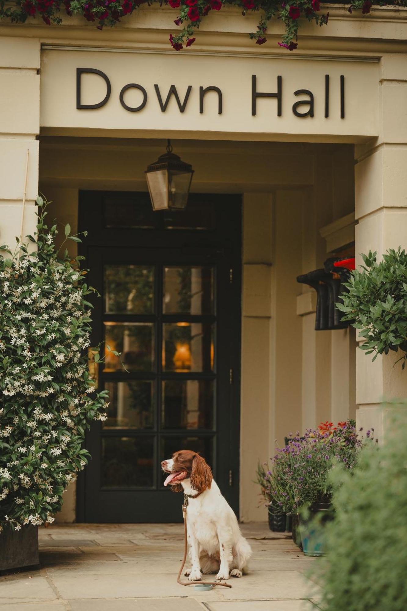 Down Hall Hotel Hatfield Heath Zewnętrze zdjęcie